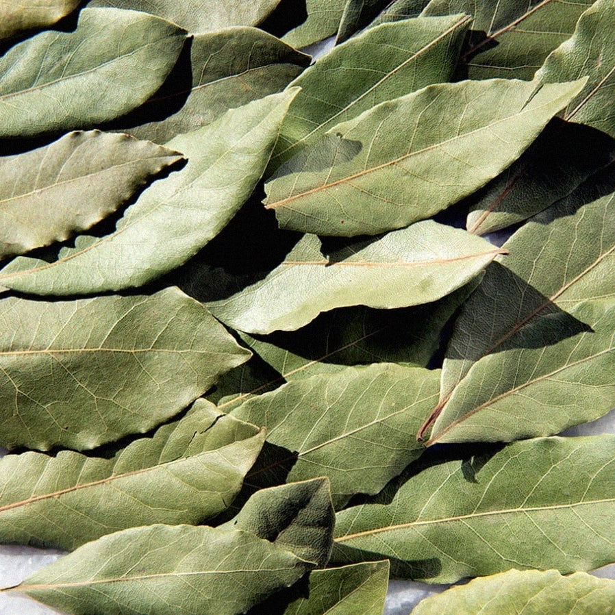 Selected Bay Leaves